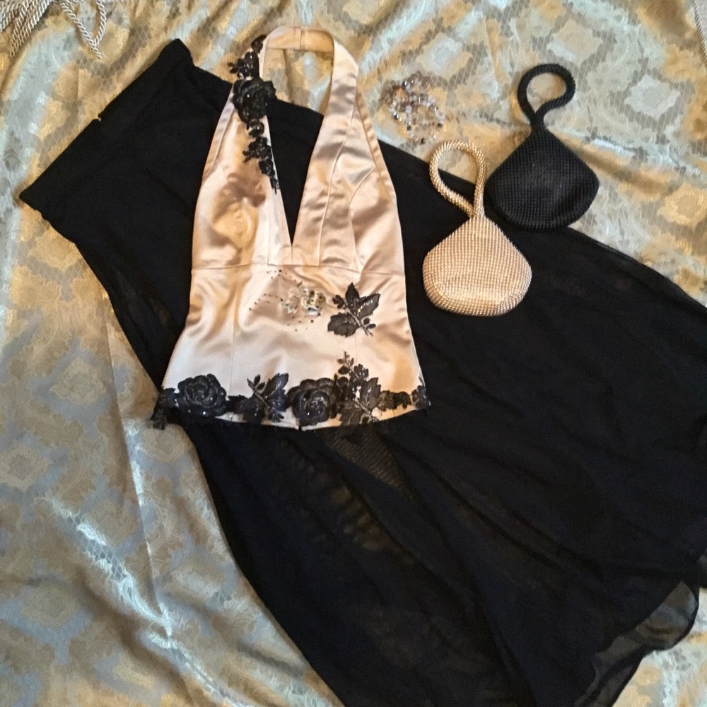Sheer Evening Skirt